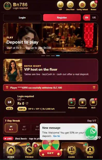 BN786 Game Screenshot 1